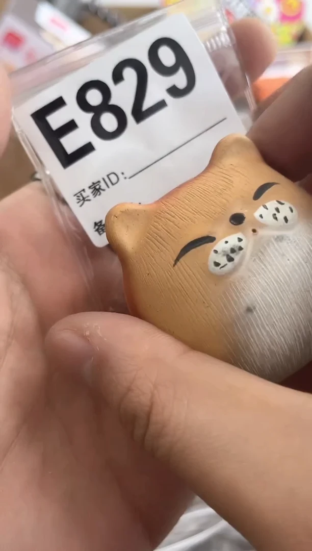 【闪购商品】瓷片E829 ++00000000000