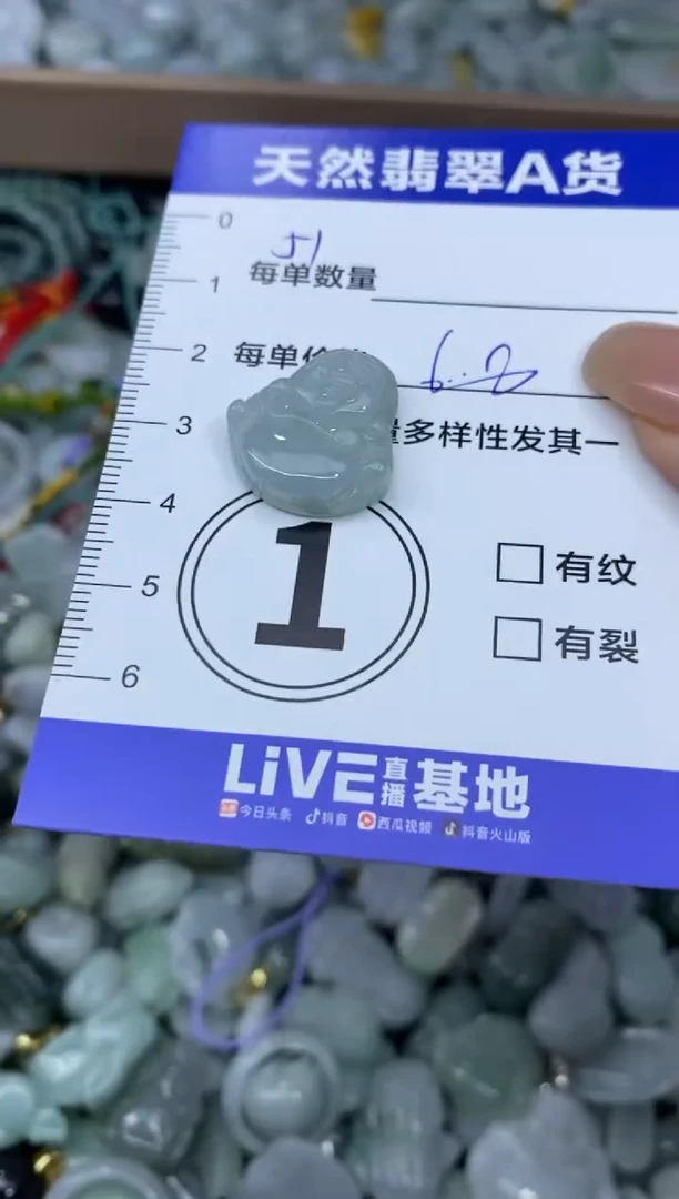 颈饰未镶嵌翡翠天然翡翠A货批量多样性发一件