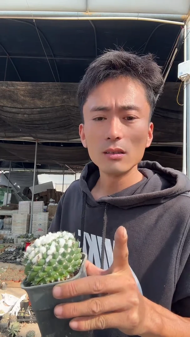 陌*实生雪糕15.99