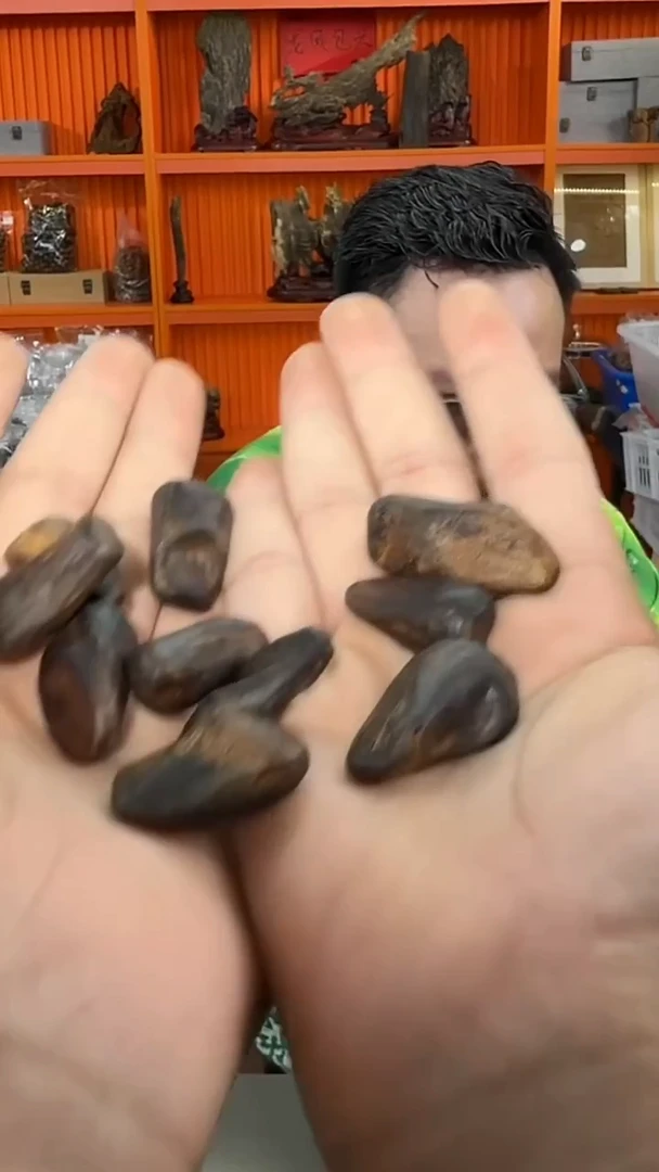 沉香手把件487号舍利子多样性发一