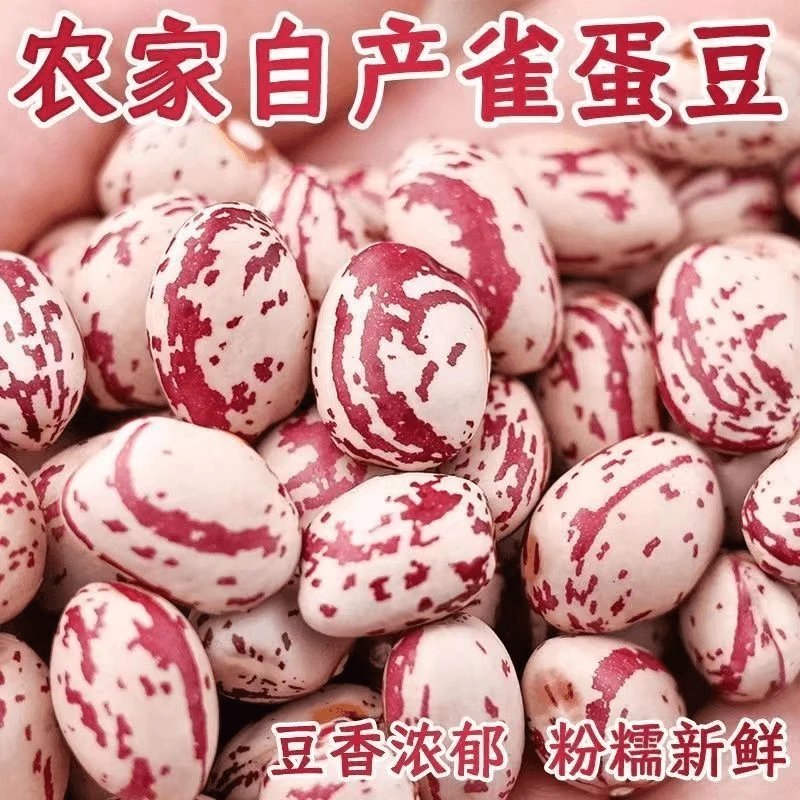 奶花豆雀蛋豆今年新货新贵州花饭豆花芸豆豆包豆馅煮粥豆饱满营养