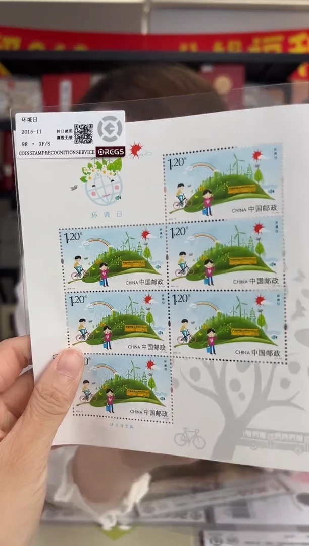 环境日 小版 RCGS评级