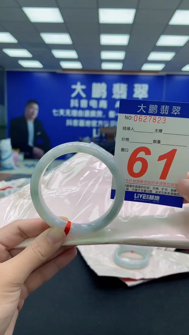 未镶嵌手镯翡翠AAAAAAAAA