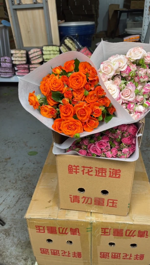 折射10枝+橙色芭比10枝+苏菲宝贝10枝