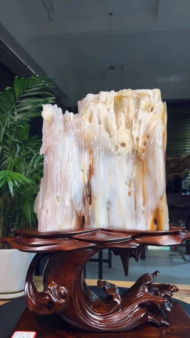 未镶嵌硅化玉（树化玉）珠宝奇石1220