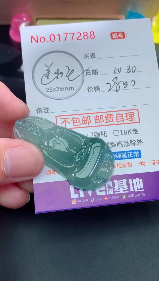 颈饰未镶嵌翡翠鹏**！天然缅甸A货翡翠