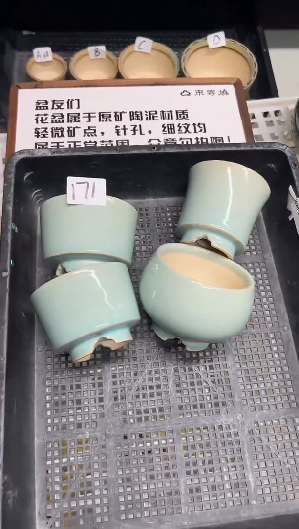 0630-171  组拍 一组四只