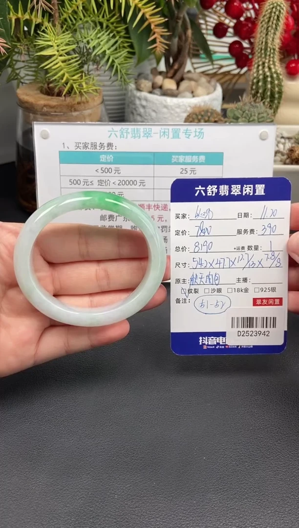 未镶嵌手镯翡翠以**海D2523942
