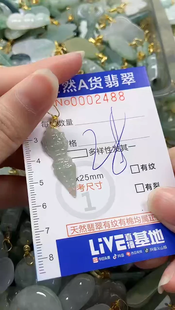 颈饰未镶嵌翡翠纯天然a货翡翠