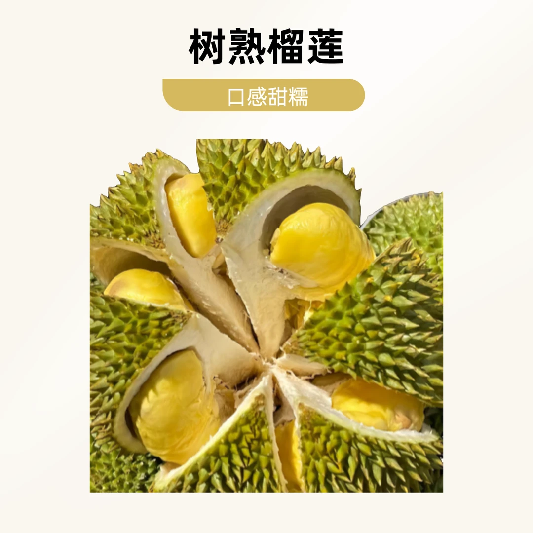 新鲜金枕榴莲  核小 榴莲同城配送 G金枕泰国