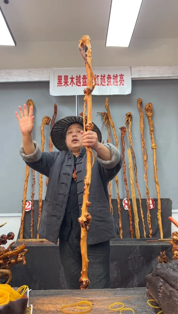 【闪购商品】黑果木其他黑果木066