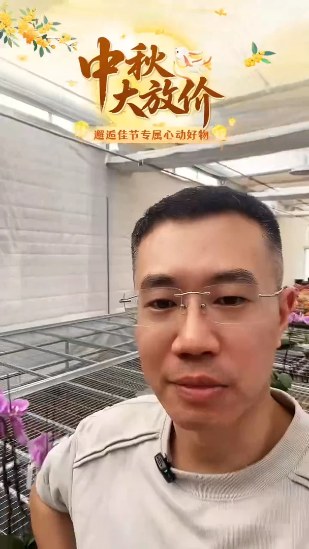 完全开放随单走，瑕疵安娜带花花后苗1棵，无售后