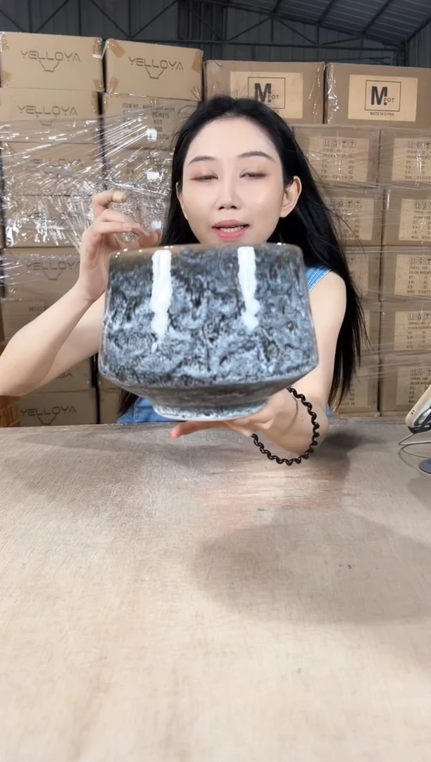 蝴蝶兰灰白小号15x13