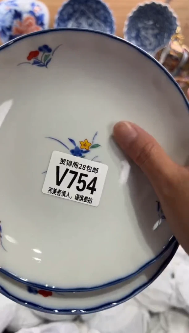 瓷片喵*人      V754