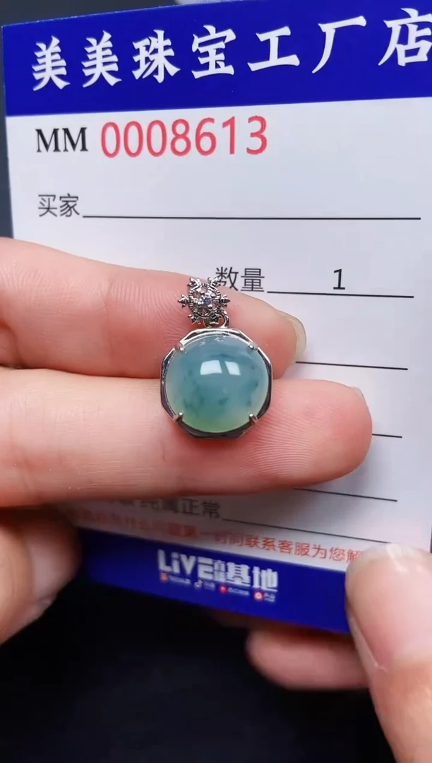 翡翠银S925镶嵌颈饰8613