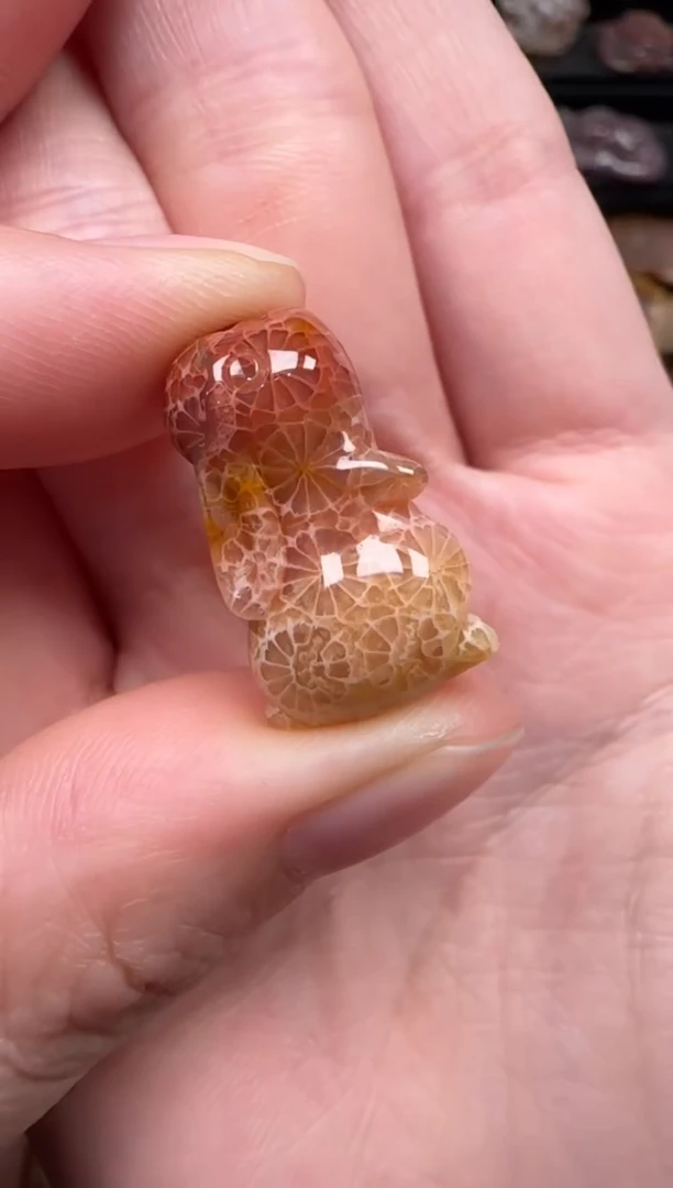 颈饰未镶嵌硅化珊瑚（珊瑚玉）554