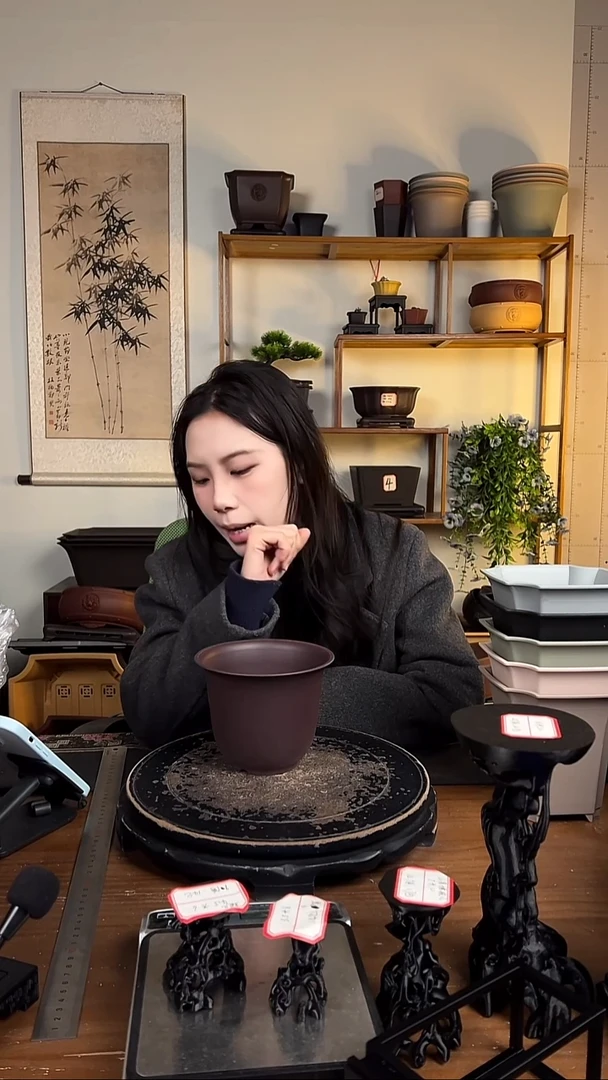 10只15口径金钟紫檀色