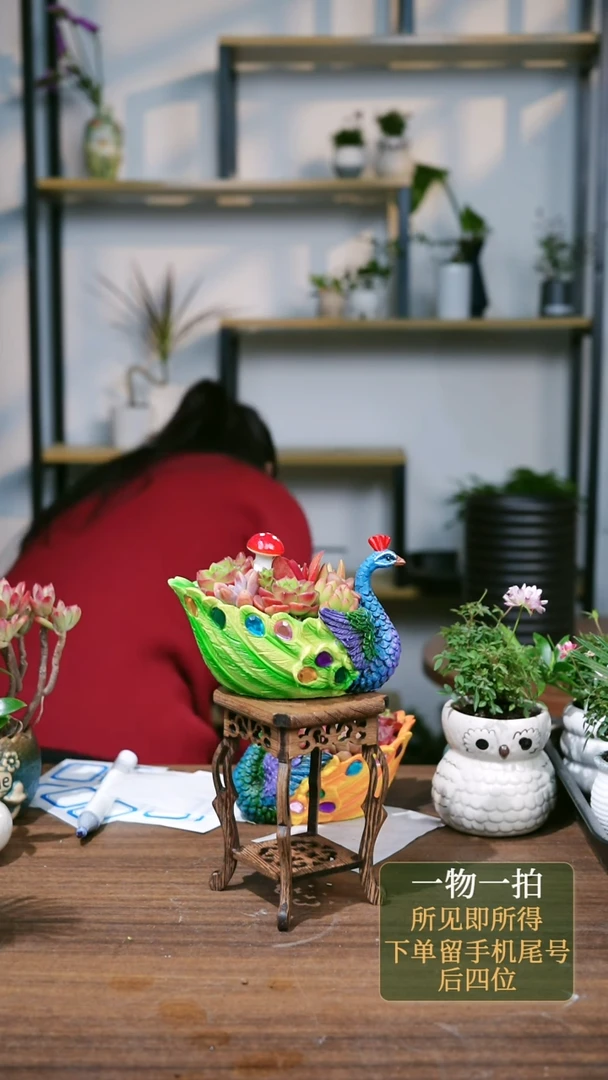 【闪购商品】115---7666多肉白