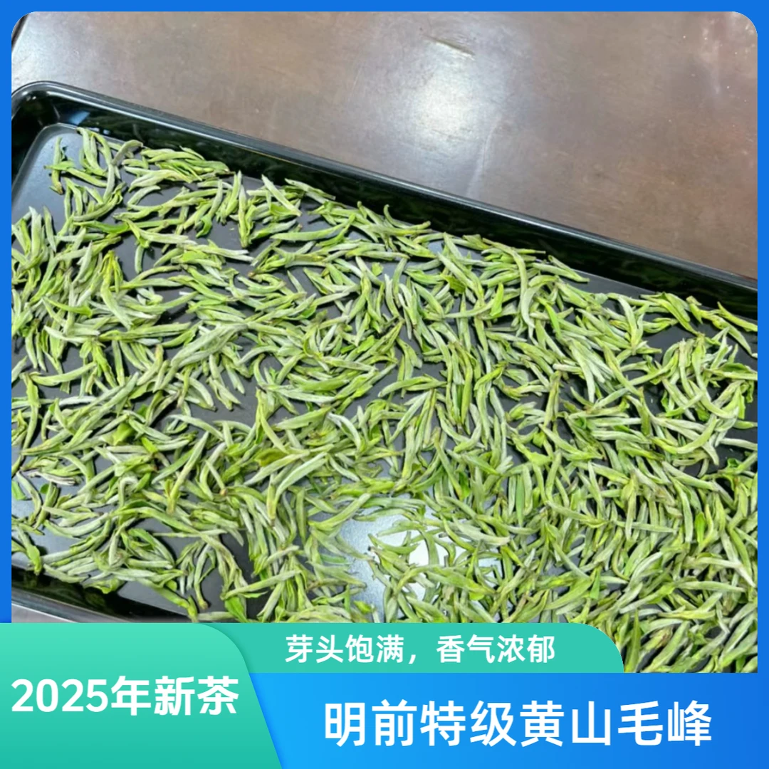 2025年高山头采明前毛峰新茶清香型兰花香头采黄芽罐装礼盒装