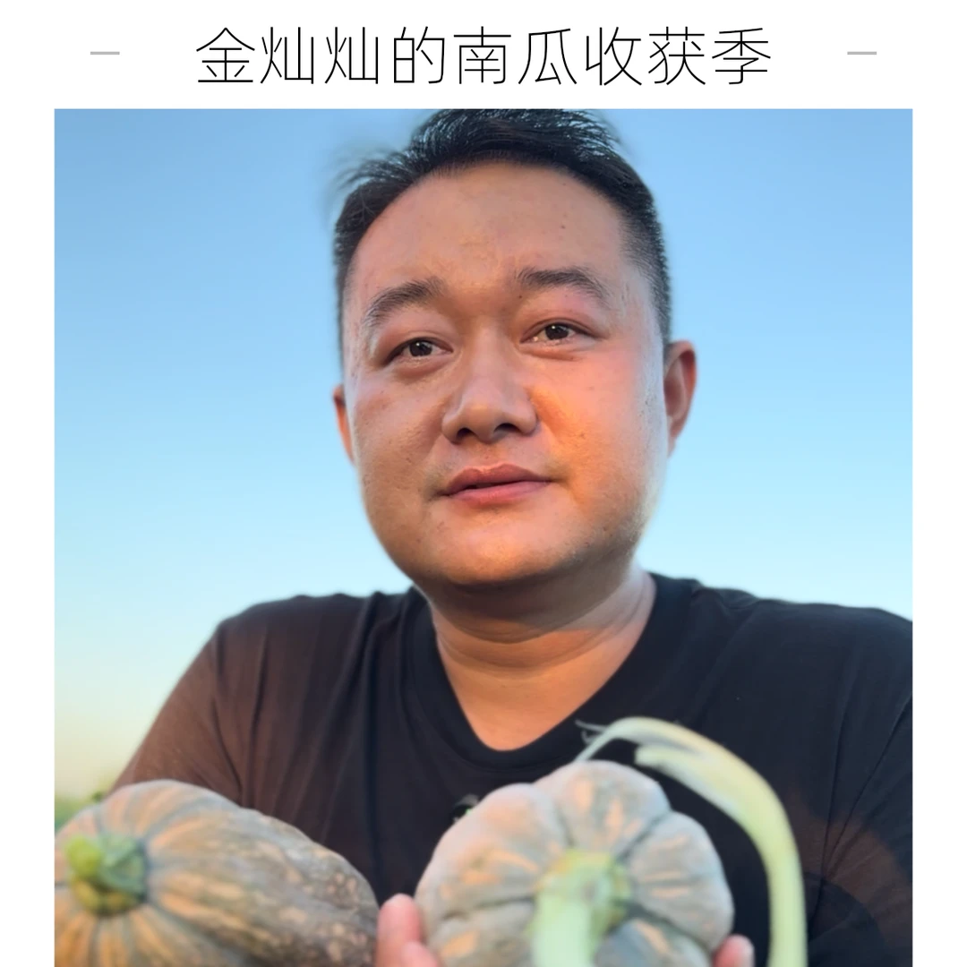 纯天然无公害小金香南瓜