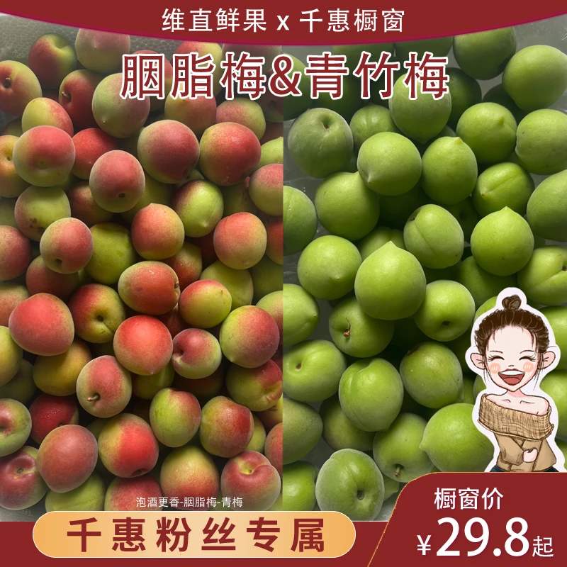 【顺丰】新鲜青梅-胭脂梅现摘优质酵素青梅露汁泡酒专用腌制酸梅子
