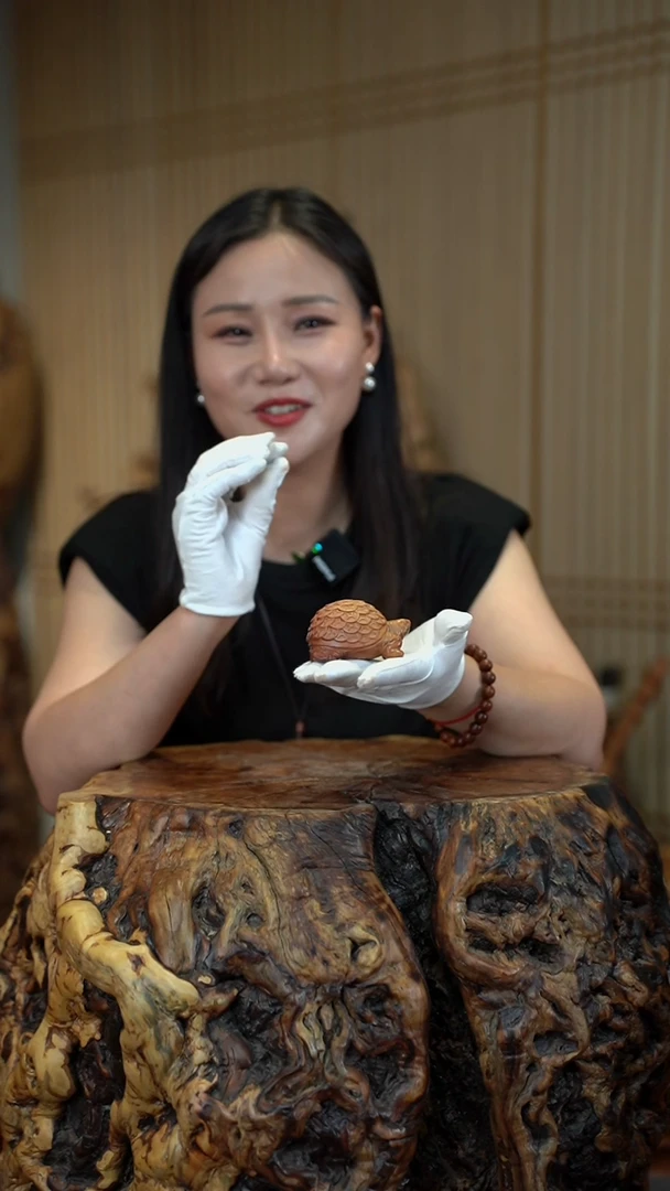 枣木雷击枣木金钱龟