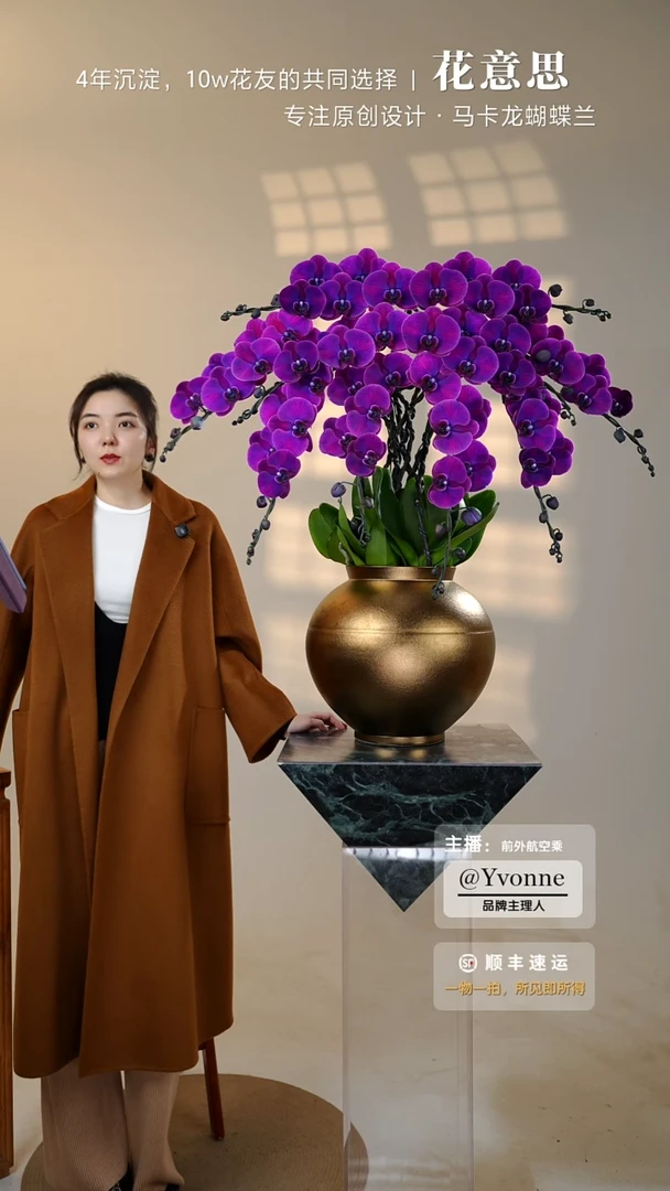 全部花朵028一物一拍蝴蝶兰艺术盆景