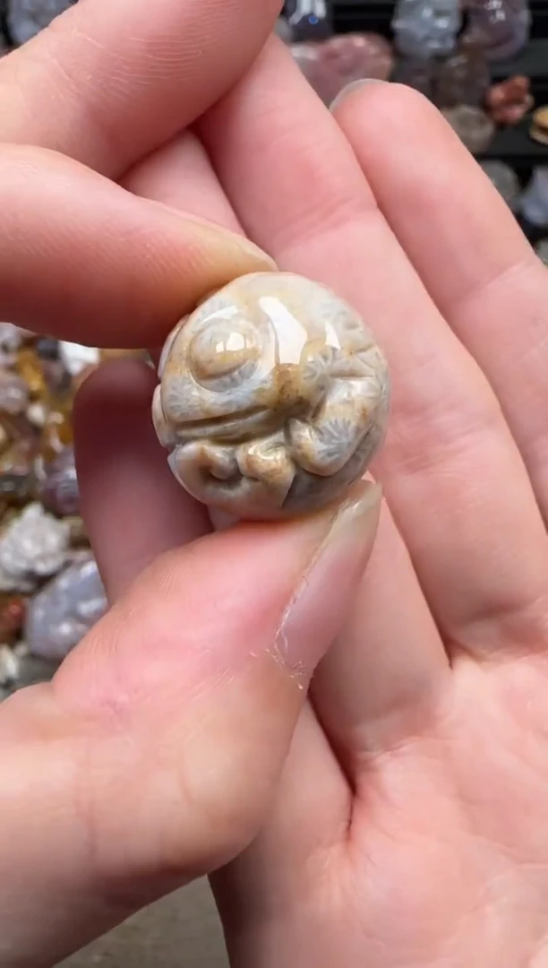 颈饰未镶嵌硅化珊瑚（珊瑚玉）052