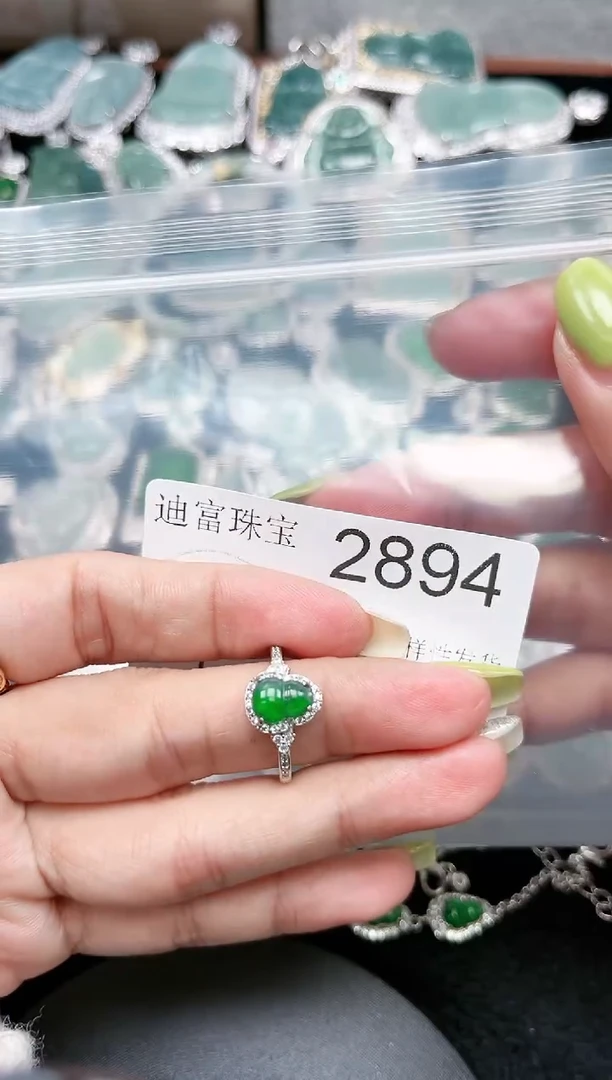 【闪购商品】翡翠颈饰未镶嵌2894赠皮绳