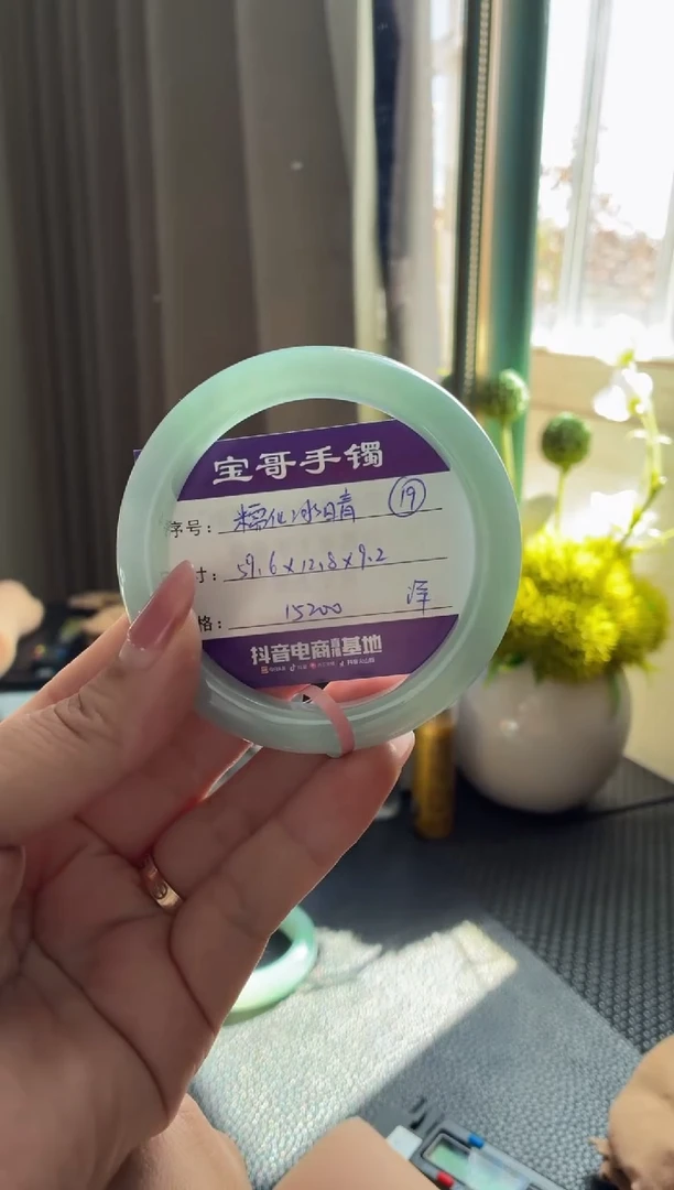 未镶嵌手镯翡翠翡翠手镯 19