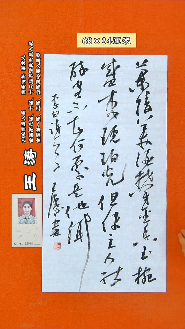 书法61R王涛书法作品