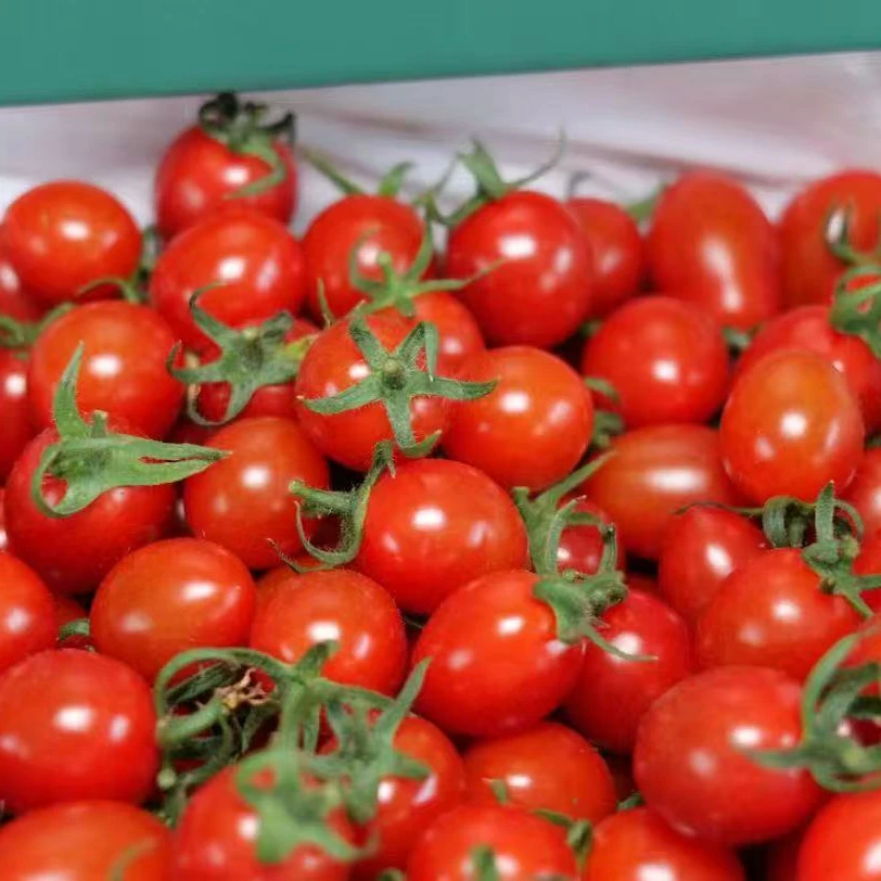 【BUNANA严选】一口爆汁釜山88小番茄2斤礼盒