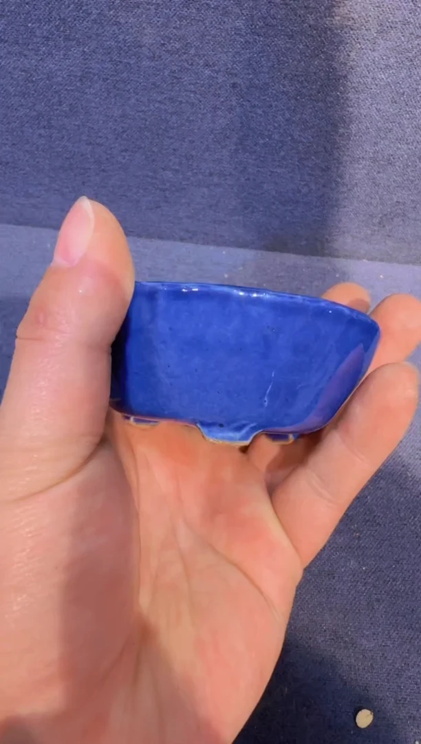 【闪购商品】-蓝釉-V96