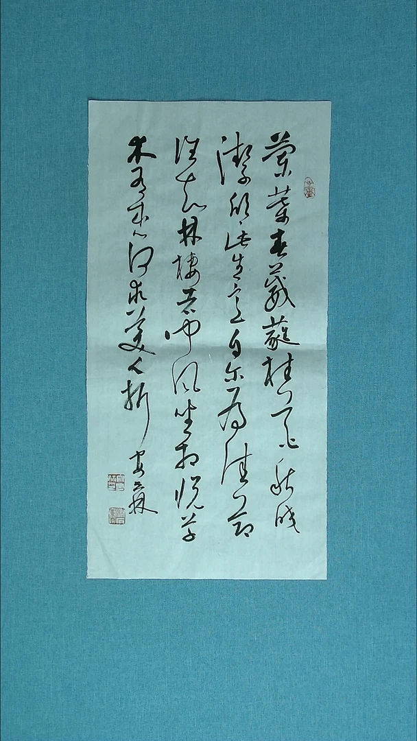 【闪购商品】书法262 甘肃安世林中书协69*34