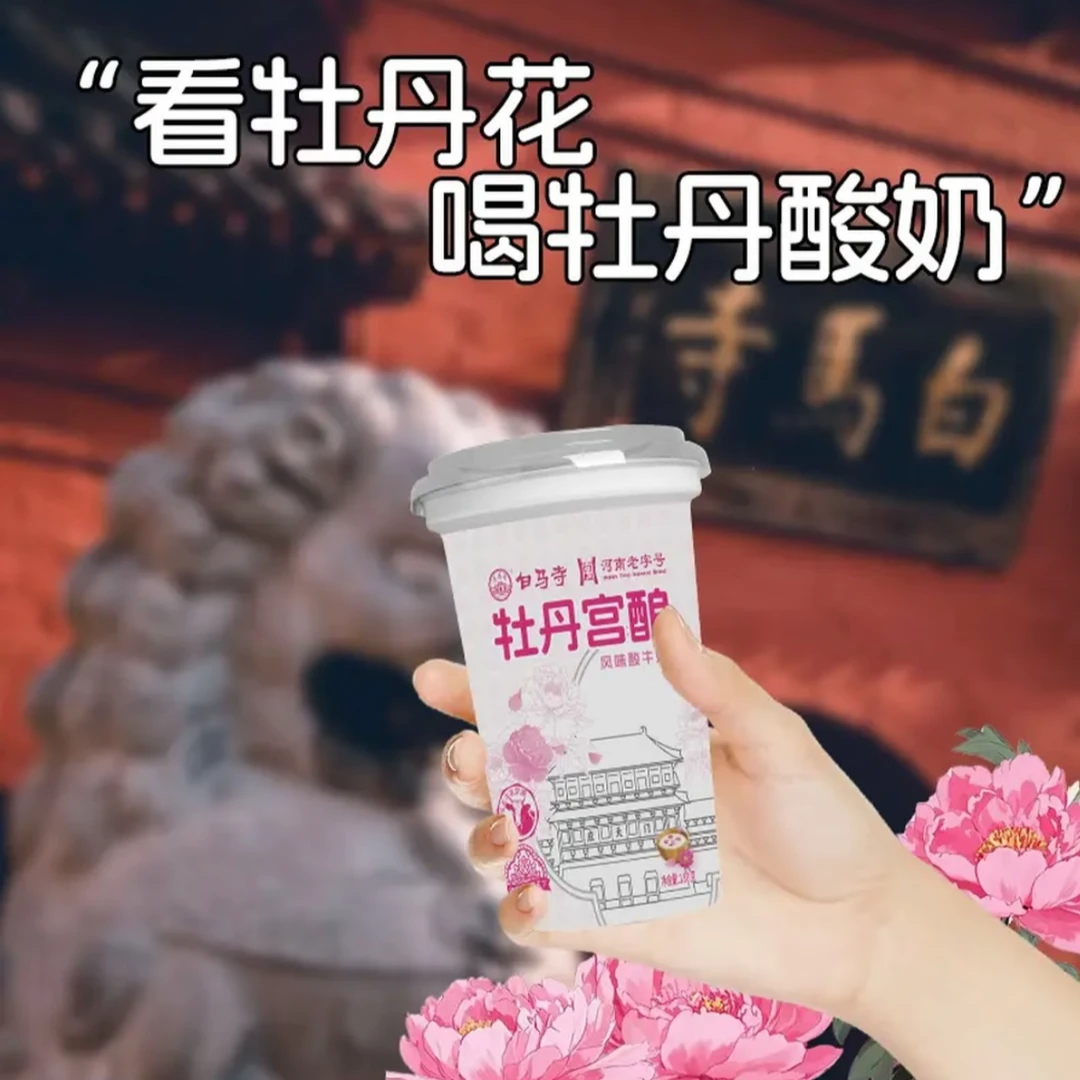 白马寺洛阳牡丹宫酿酸奶180g*8冷藏杯装风味白马寺酸奶
