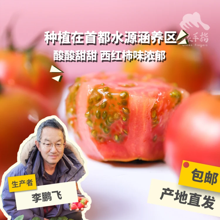 有机草莓西红柿 3斤/5斤 河北 绿手指份额农园