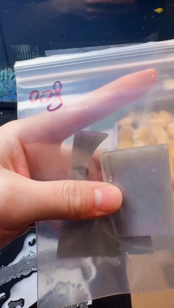 翡翠未镶嵌颈饰008天然缅甸A货翡翠