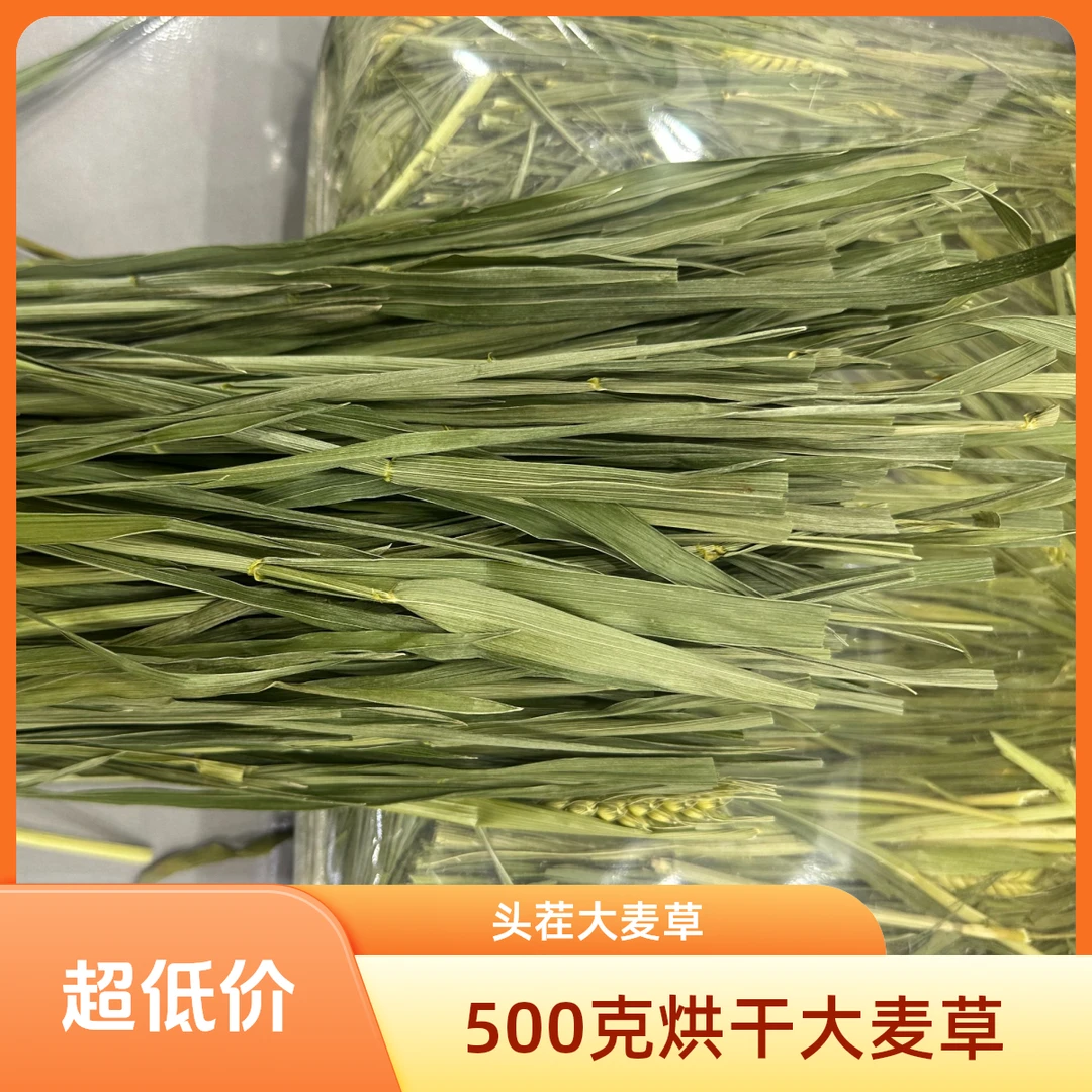 头茬烘大麦草实拍500克1斤装兔子仓鼠龙猫干草所见即所得
