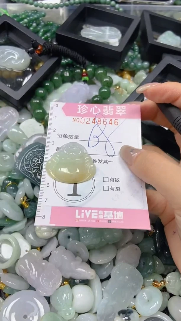 翡翠未镶嵌颈饰闪购0248646