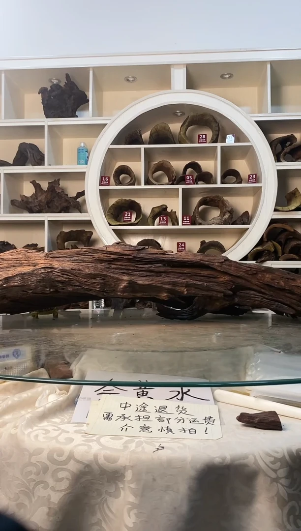 用****4鱼缸造景素材紫柚405