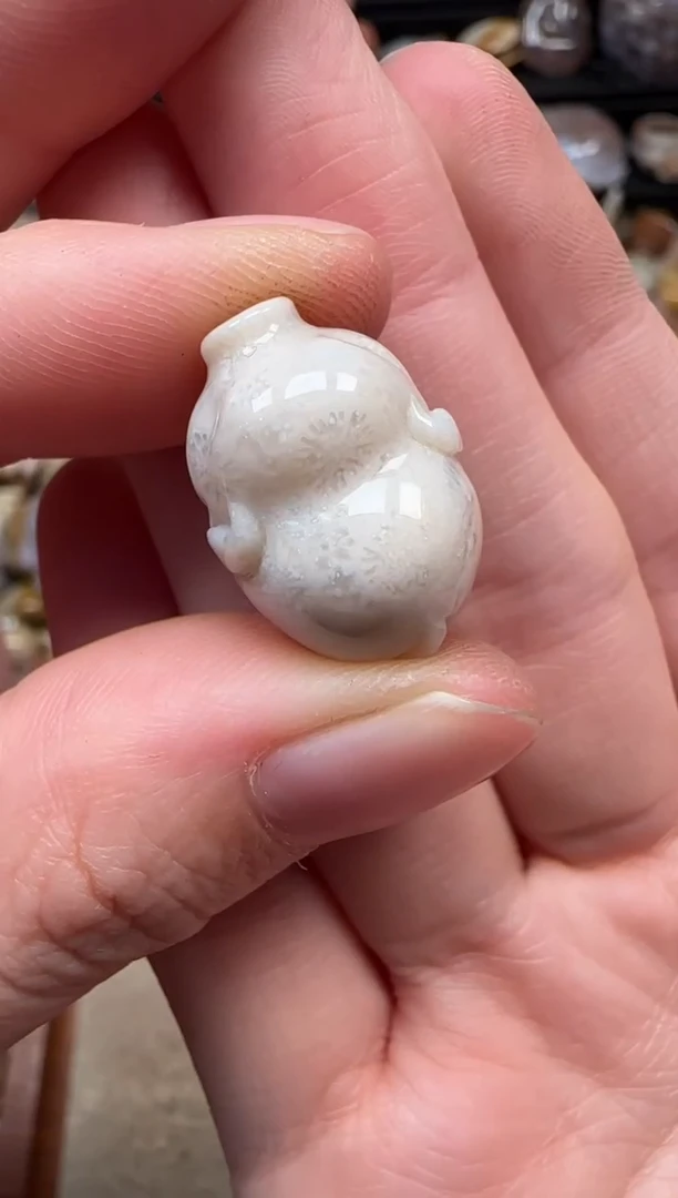 颈饰未镶嵌硅化珊瑚（珊瑚玉）106