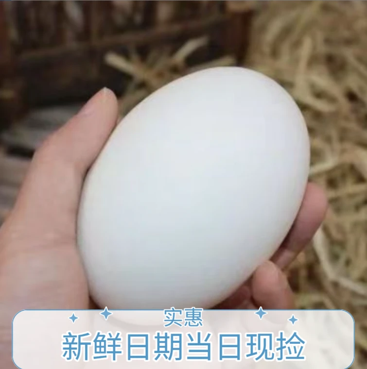 到手20枚农家营养蛋新鲜日期现捡现发大鹅蛋20枚装j