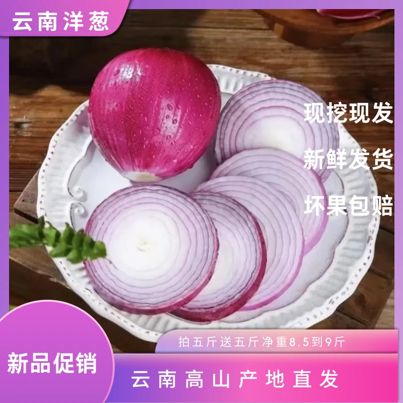【云南高山紫皮洋葱】现挖现发产地直发蔬菜新鲜多汁带箱十斤