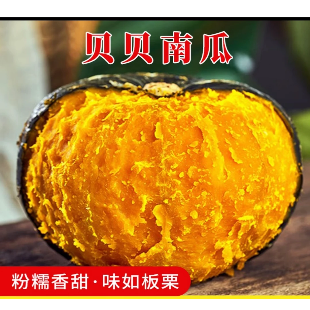 正宗贝贝南瓜粉糯香甜板栗味新鲜采摘（普通快递）