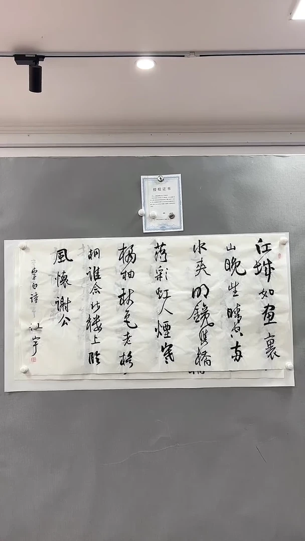 【闪购商品】书法雅艺典藏文化书法