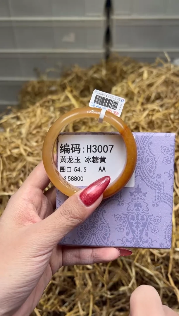 未镶嵌手镯石英质玉H3007