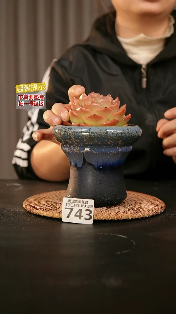 瓷片743内口径约  外高约