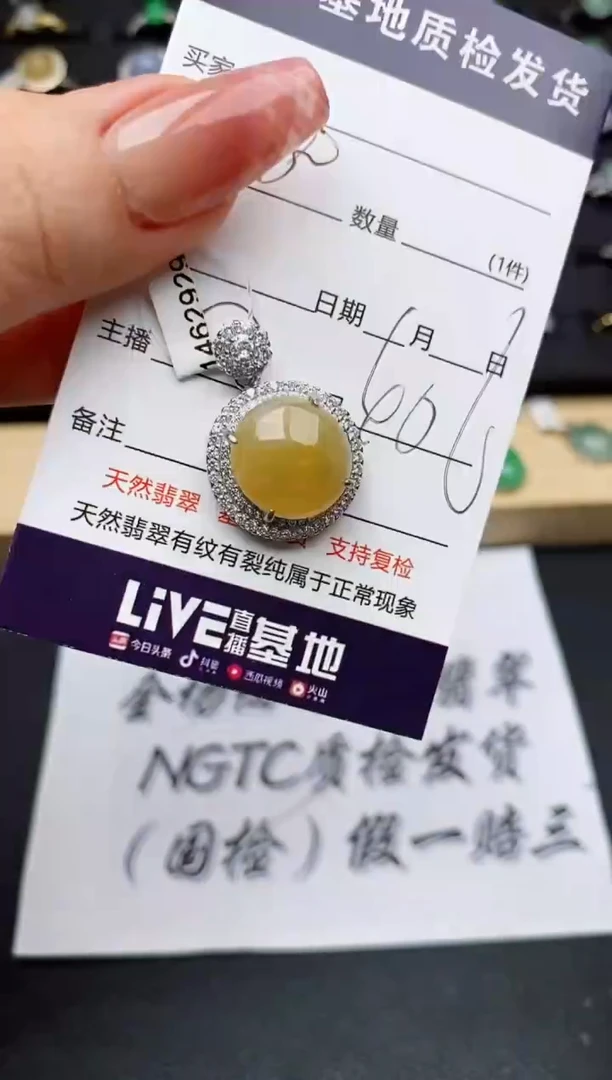 翡翠银S925镶嵌颈饰..........