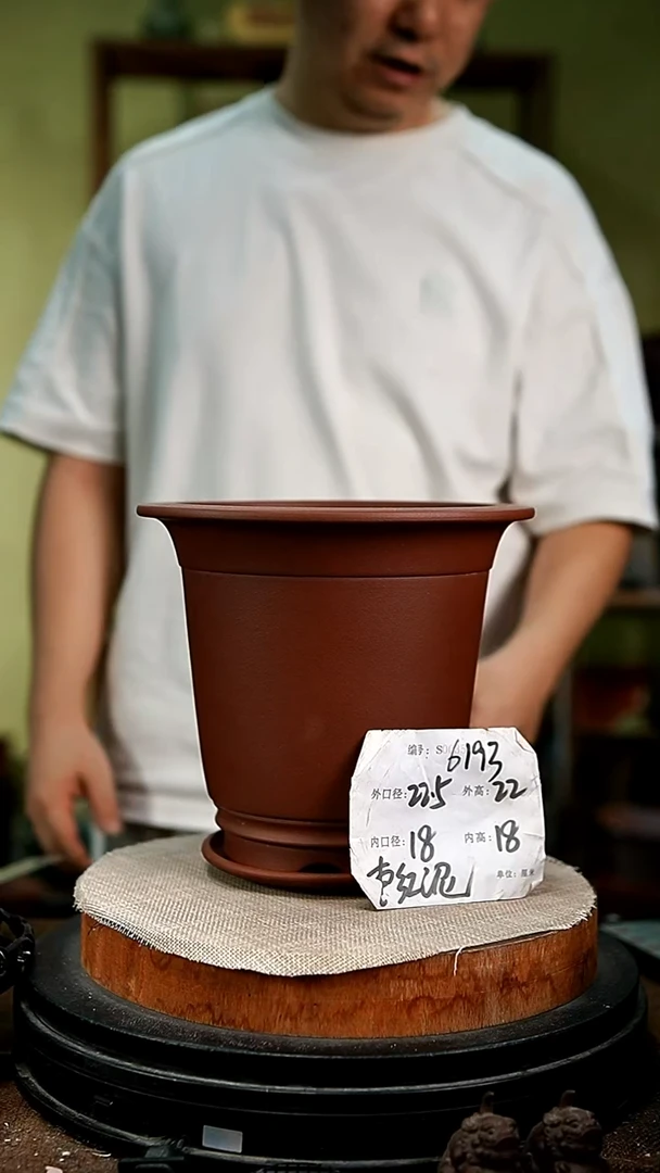 紫砂花盆花卉园艺6193+z