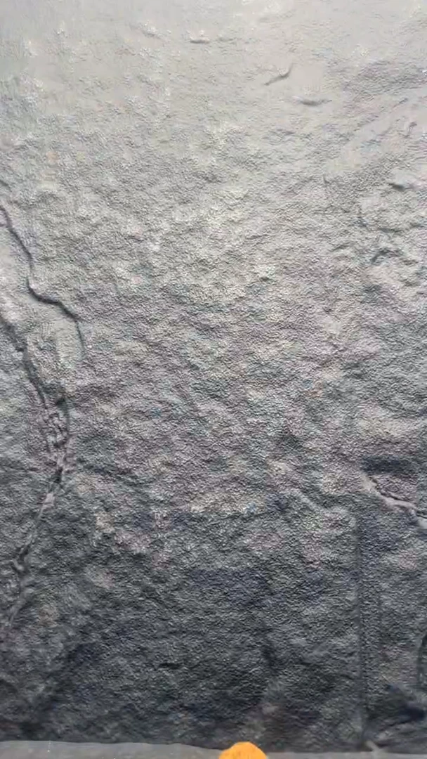 文玩核桃吊坠章*曦南将
